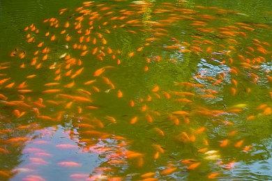 美国2024游戏消费统计：整体支出比前年下降9%